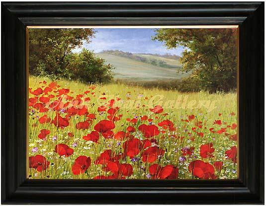 Red Poppies