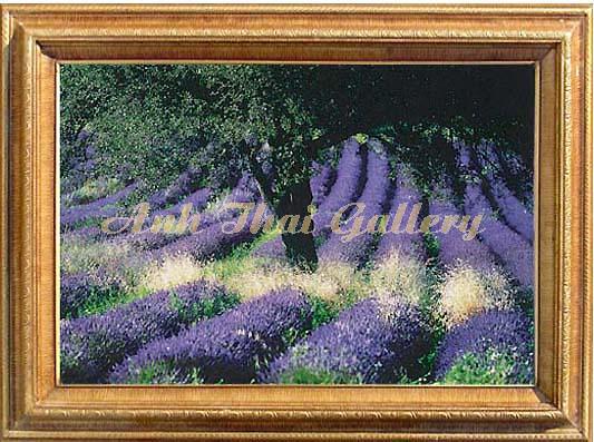 Violet Landscape